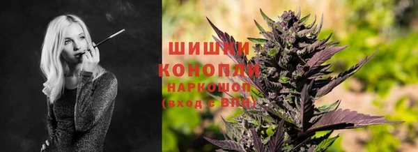 2c-b Белокуриха