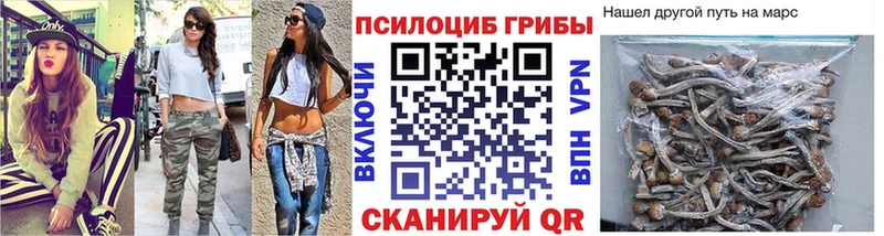 Псилоцибиновые грибы Magic Shrooms  Купить где  Вилюйск 