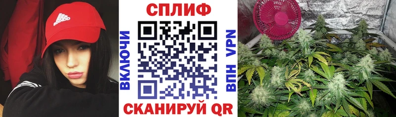 Купить где  Вилюйск  Марихуана семена 